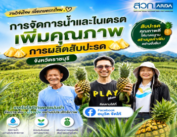 จากงานวิจัยสู่แปลงปลูก พัฒนาเทคนิคการจัดการน้ำและไนเตรตเพื่อเพิ่มคุณภาพและมูลค่าสับปะรดจังหวัดราชบุรี
