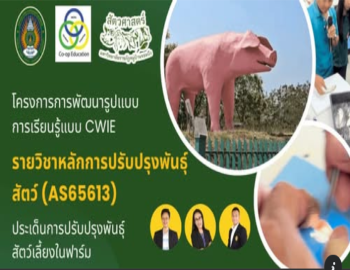 โครงการพัฒนาการจัดการเรียนรู้รูปแบบ CWIE รายวิชาหลักการปรับปรุงพันธุ์สัตว์ สาขาวิชาสัตวศาสตร์ คณะวิทยาศาสตร์และเทคโนโลยี