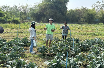 ศูนย์ตรวจสอบสินค้าเกษตรจังหวัดราชบุรี ลงพื้นที่เสริมความเข้มแข็งวิสาหกิจชุมชนดอนกระเบื้อง 