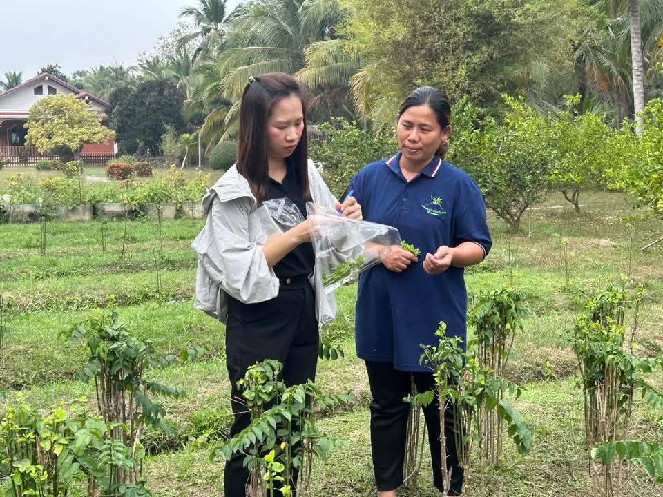 บรรยากาศการ 2