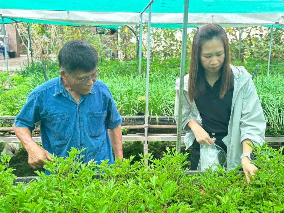 บรรยากาศการ 3