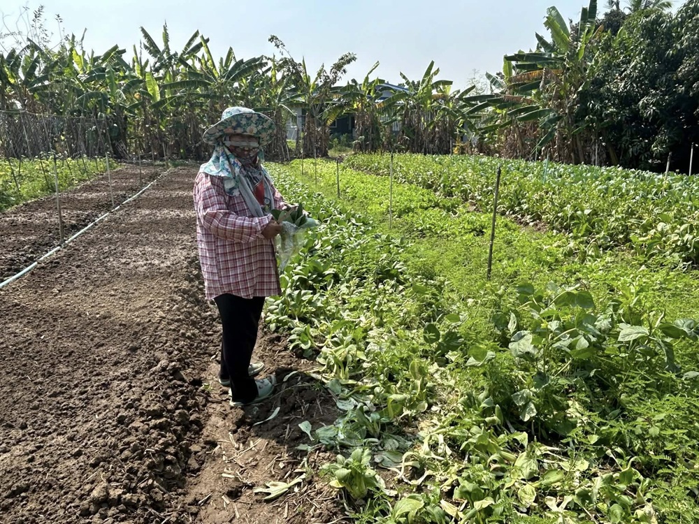 บรรยากาศมอบรางวัล 3