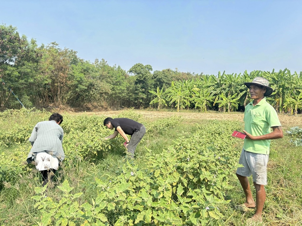 บรรยากาศมอบรางวัล 6