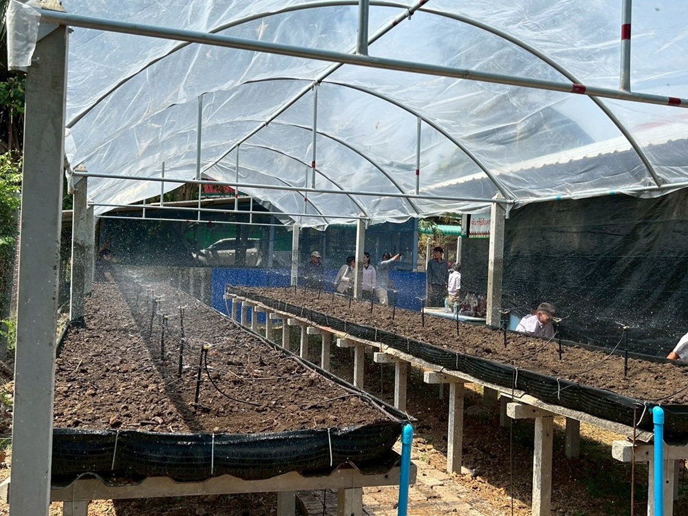 บรรยากาศการ 5