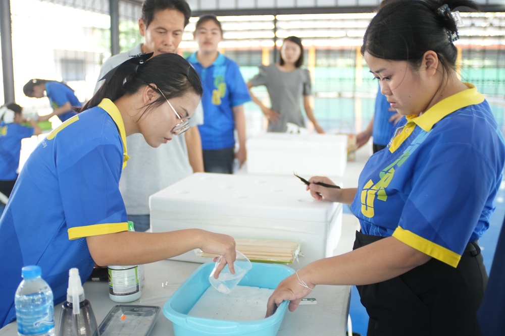 บรรยากาศการ 5