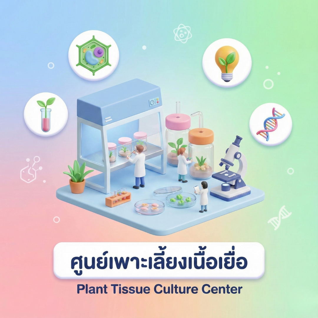 Tissue Culture
